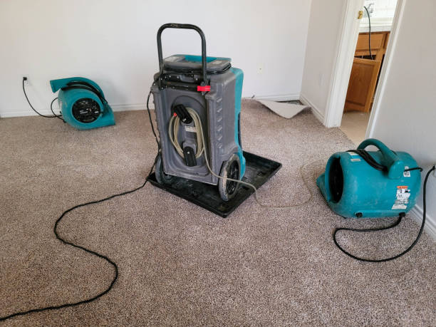 Best Professional water damage repair  in Salem, VA