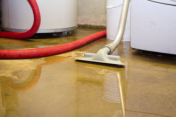 Best Water damage contractors near me  in Salem, VA