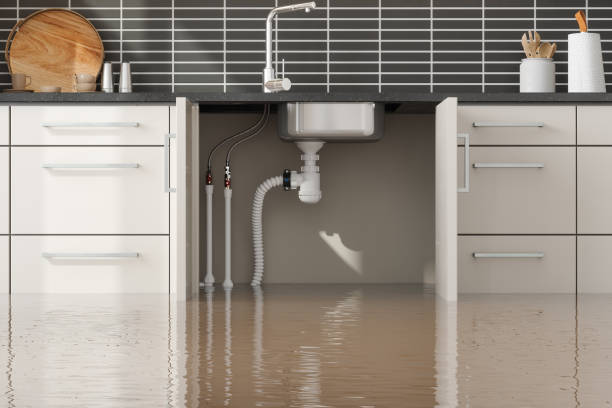 Best Carpet water damage restoration  in Salem, VA